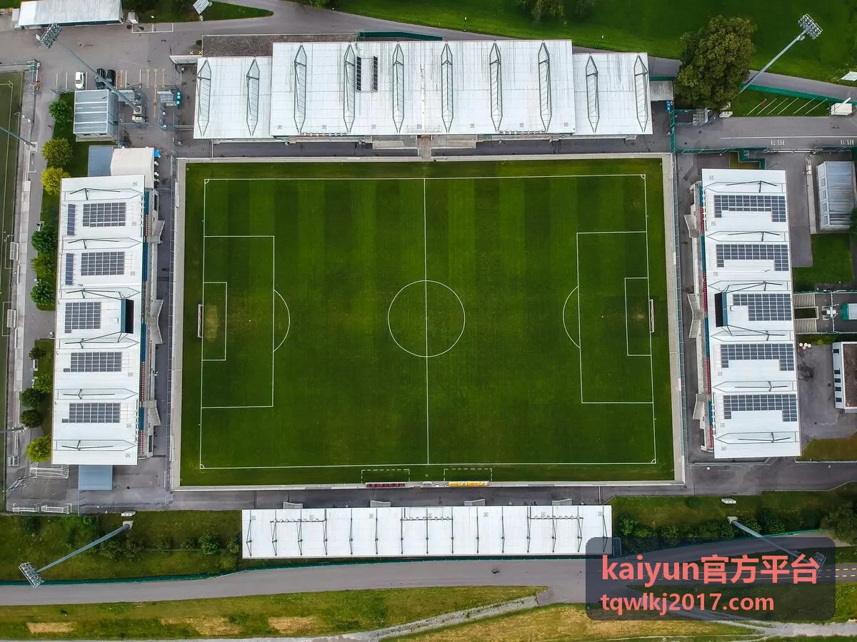 kaiyun官方平台入口指南封面